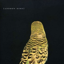 andrew bird