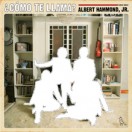 Albert Hammond Jr.