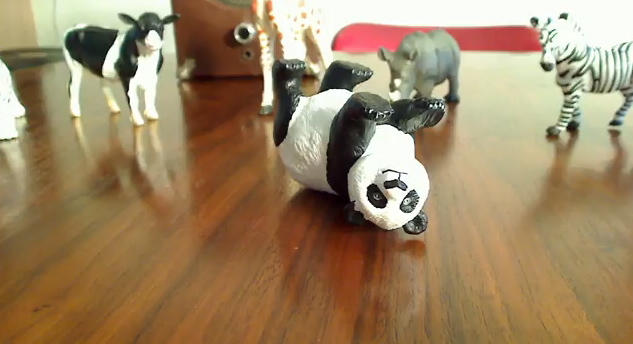 Poetic Memory: Zoo Seven (Interview) - owl and bear