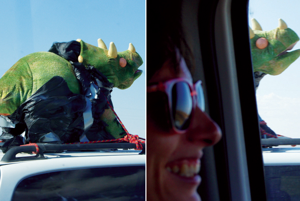New Mexico Alien Sighting