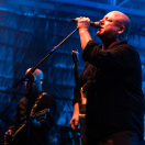 The Pixies by Leslie Kalohi